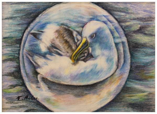 Safeguarding Sphere, Tammy McGee