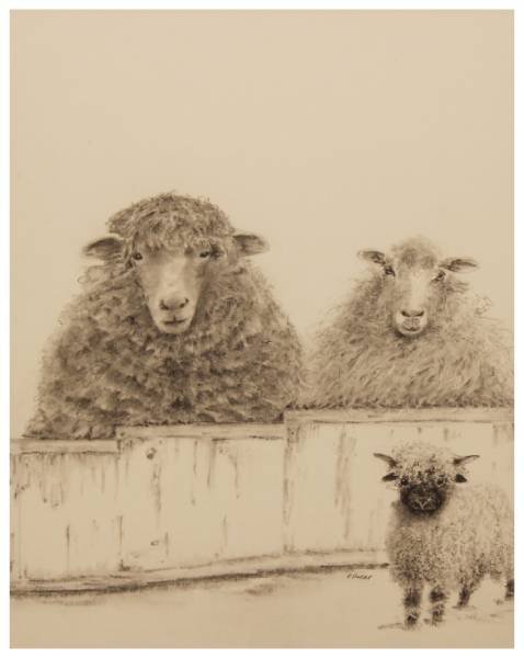 The Woolies, Eileen Stoner