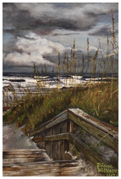 Storm/ St. Augustine, Diana Williams