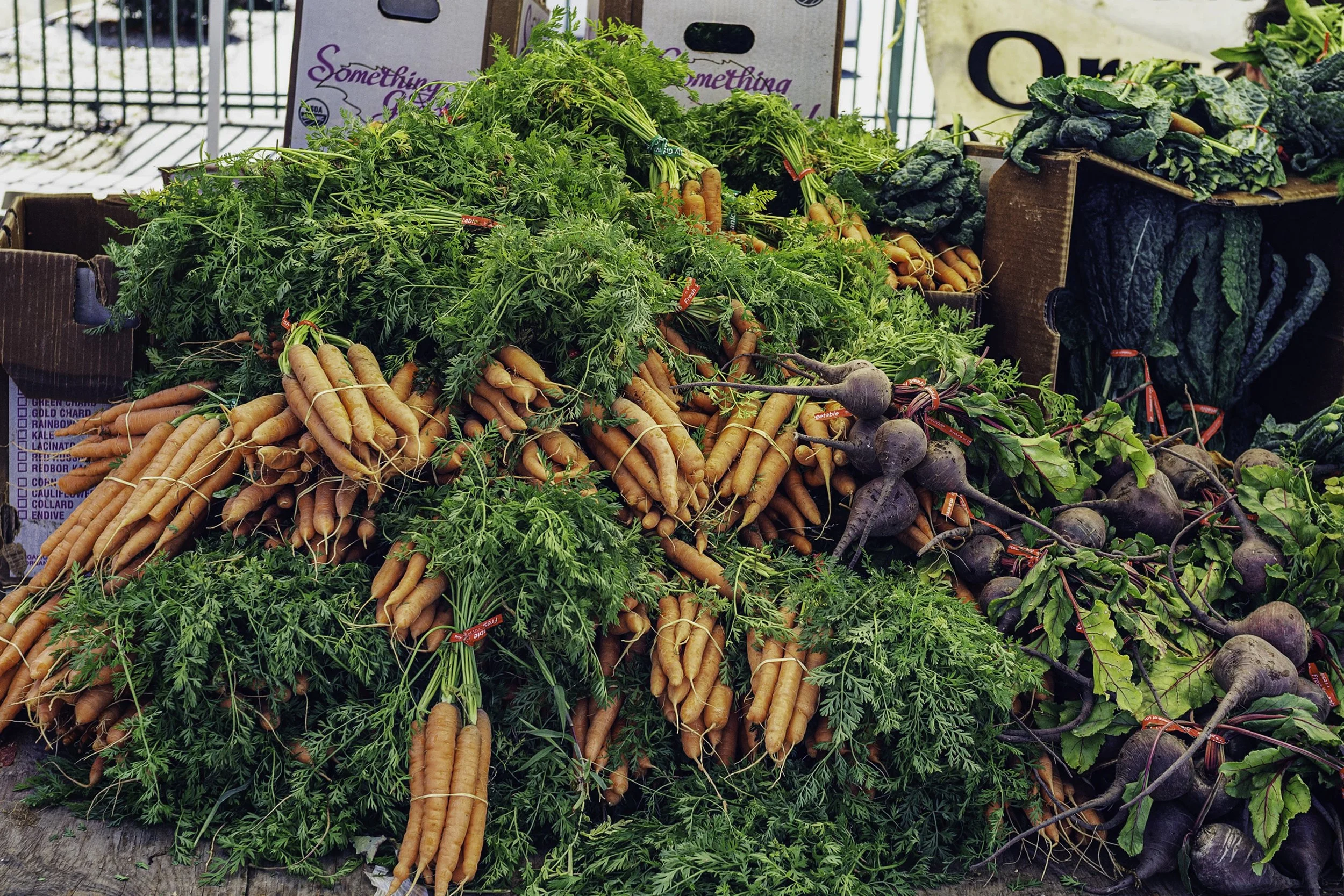 "Abundance" by Alan Hantz