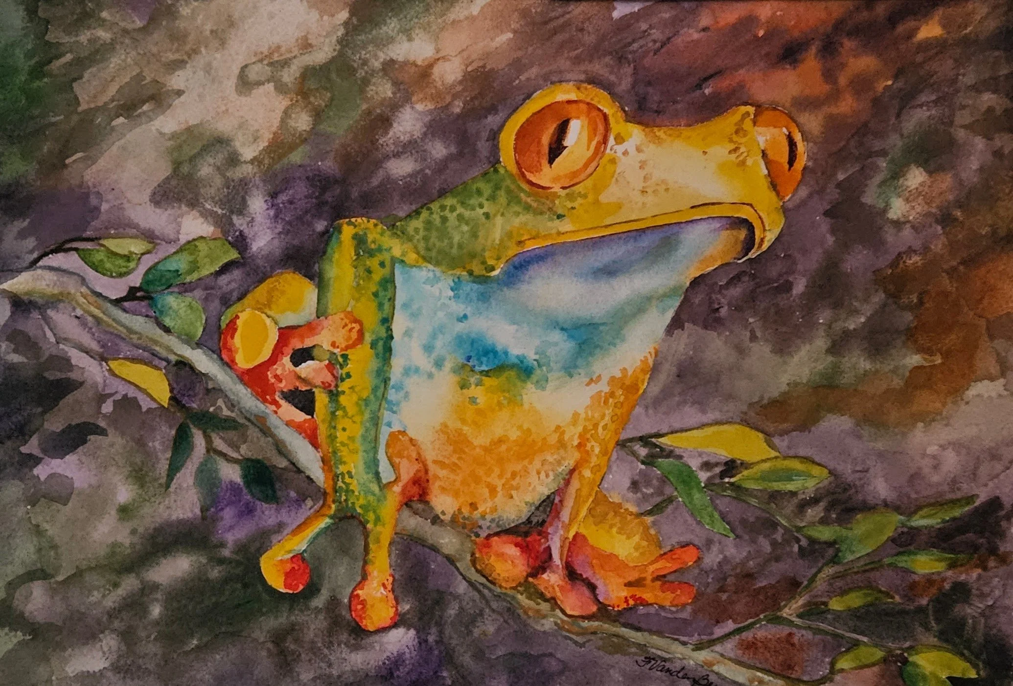 "Curious Tree Frog" by Francine VandenBerg