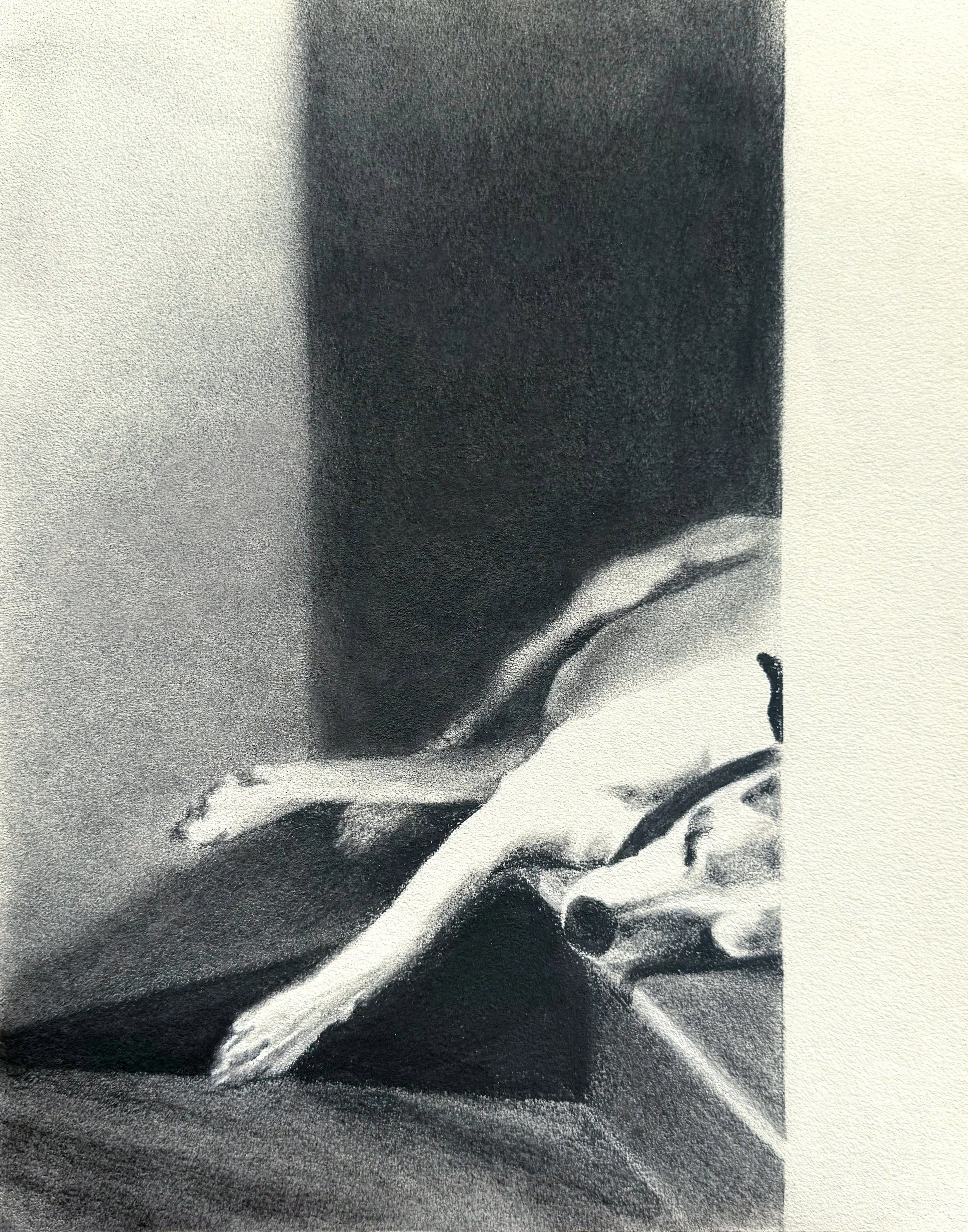 "Do Not Disturb" by Lydia Kirby
