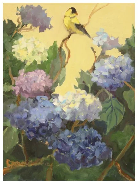 open-currie_hydrangeas.JPG