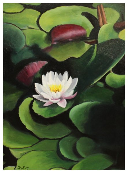 open-dickun-white lily.JPG