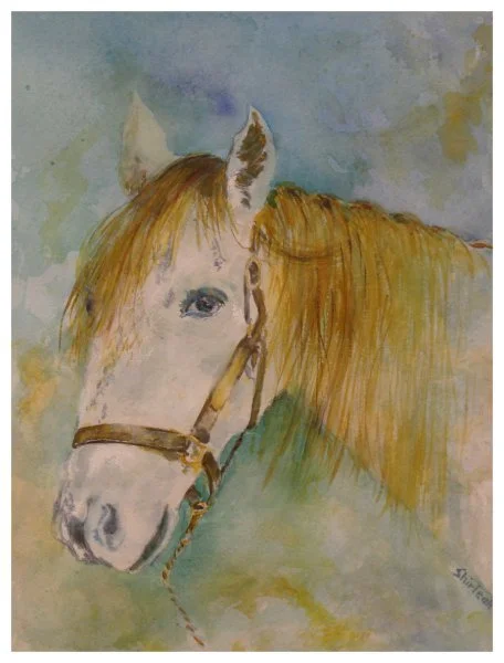 open-kelly_mr ed.JPG