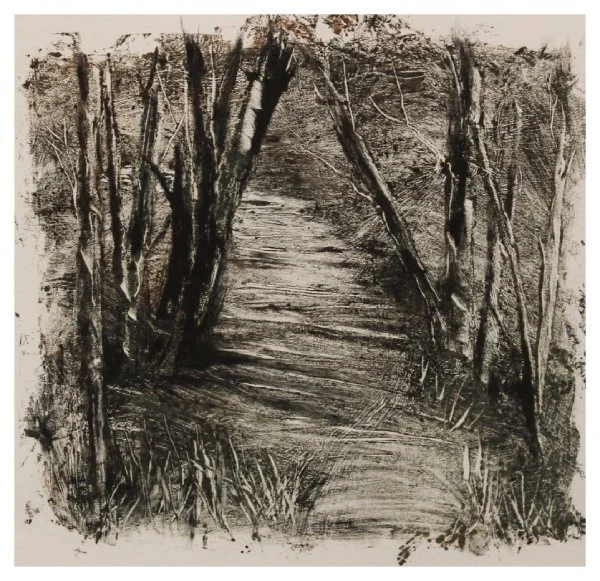 open-kirby_tulgey wood.JPG
