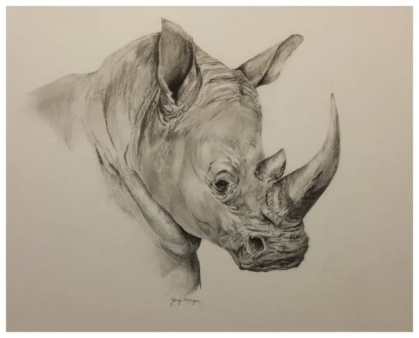 open-milligan_judy_rhino.JPG