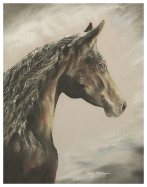 open-milligan_trudy_wind braids.JPG