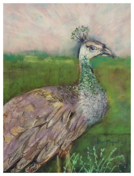 open-myers_peahen subtle elegance.JPG