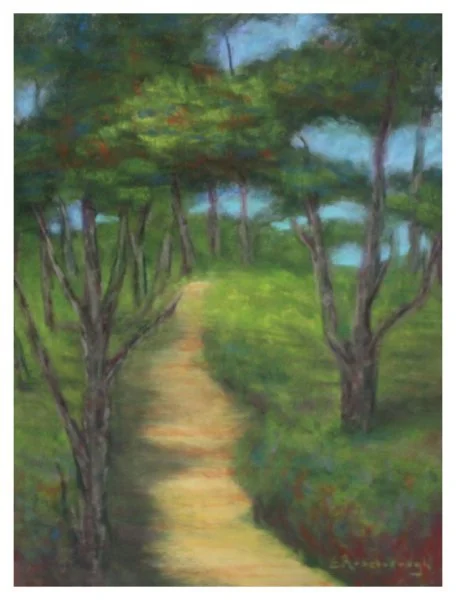 open-roseborough_maine path.JPG