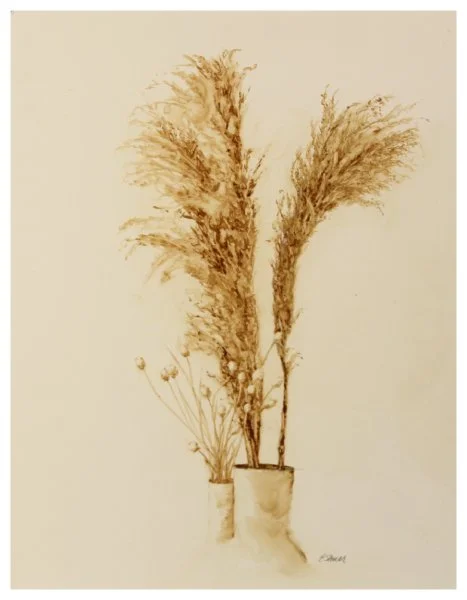 open-stoner_eileen_winter grasses.JPG