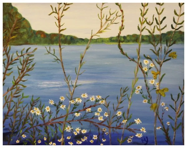 open-yeager_mary_wild daisies at greenlick.JPG