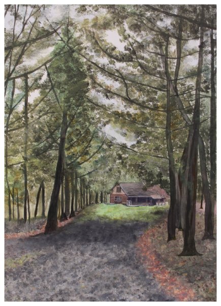 collage-taylor_the farm.JPG