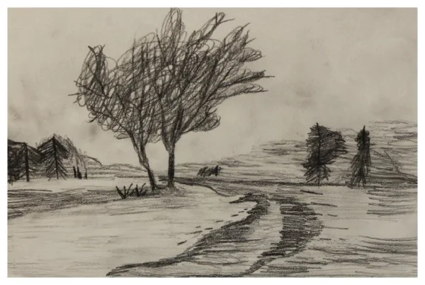 junior-austin m._lonely tree.JPG