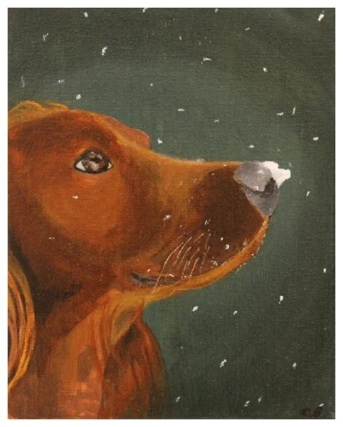 junior-barnhart_irish setter.JPG