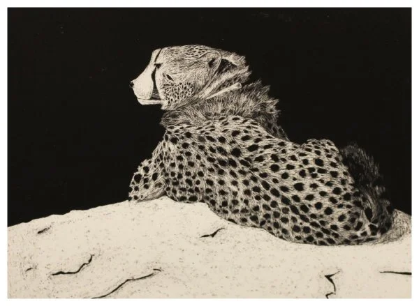 junior-siemon_cheetah.JPG