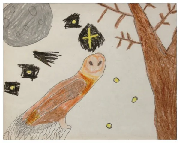 young-hammer_alessandra_barn owl.JPG