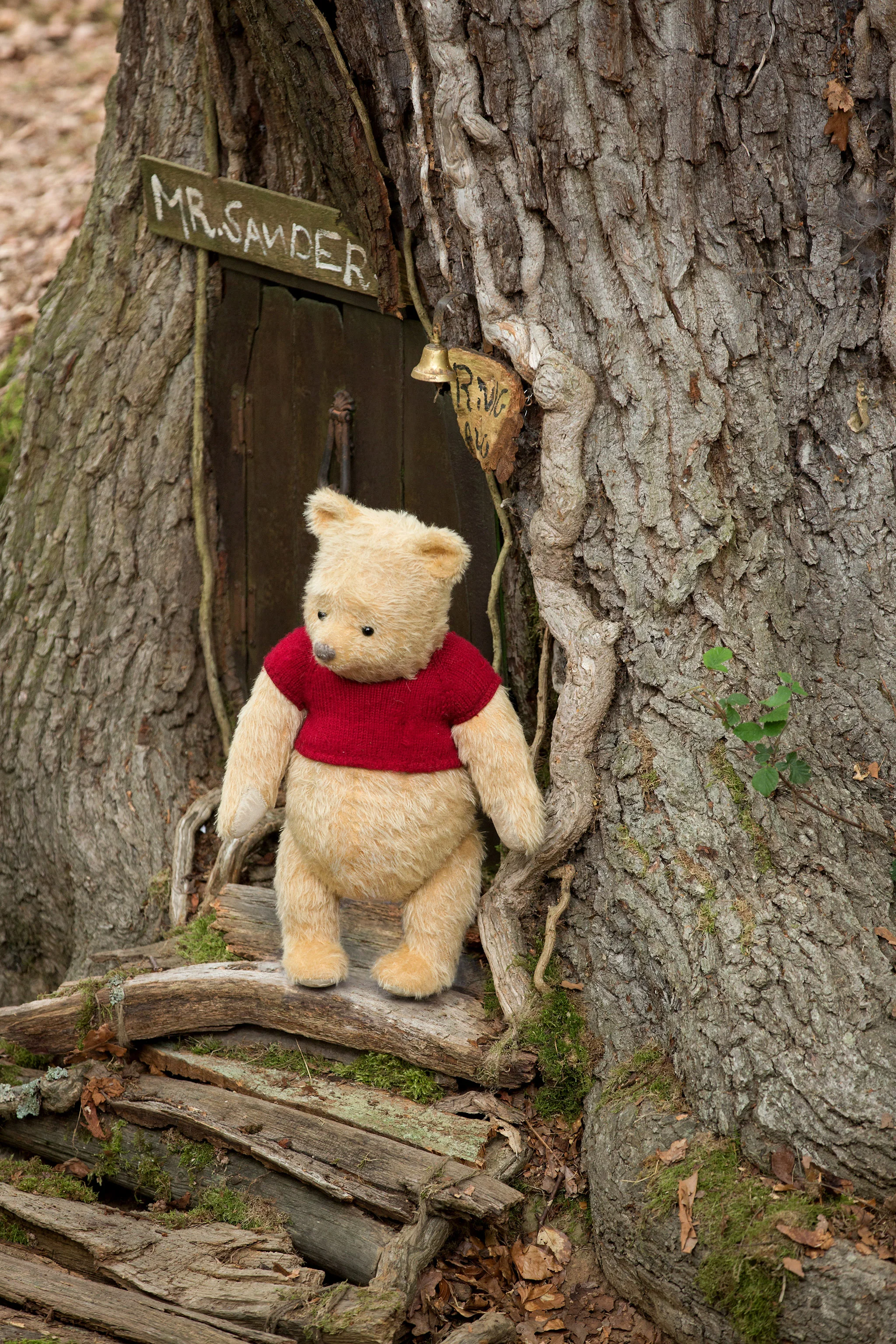 The enduring appeal ( and wisdom) of AA Milne's Winnie the Pooh. CREDIT: Disney