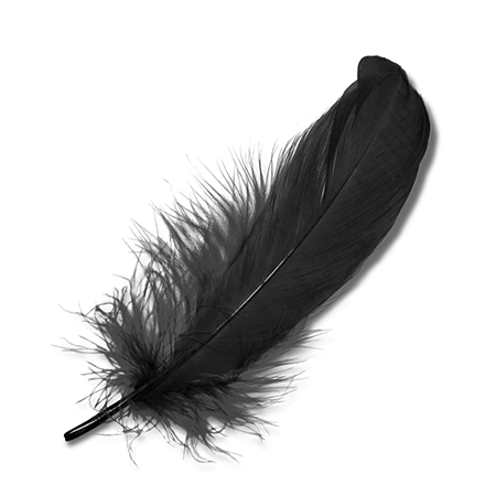 black feather.png