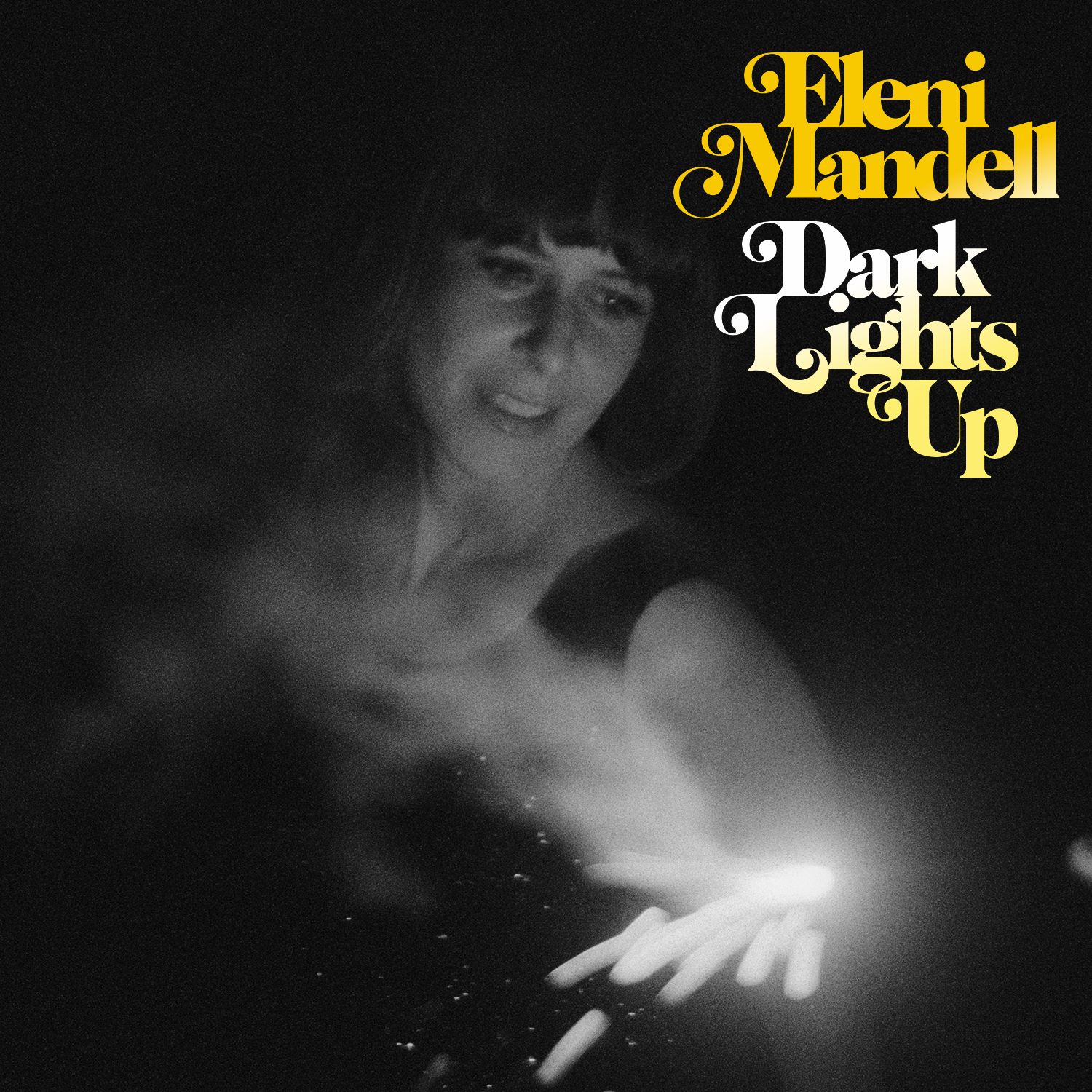 EleniMandell_DarkLightsUp_cover.jpg