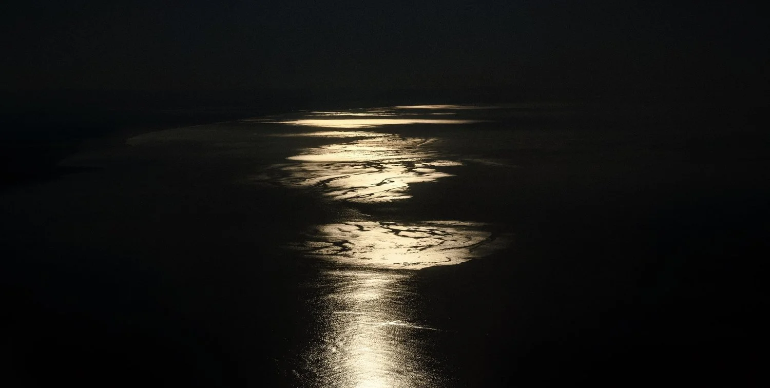 goldsea+grain+copy.jpg