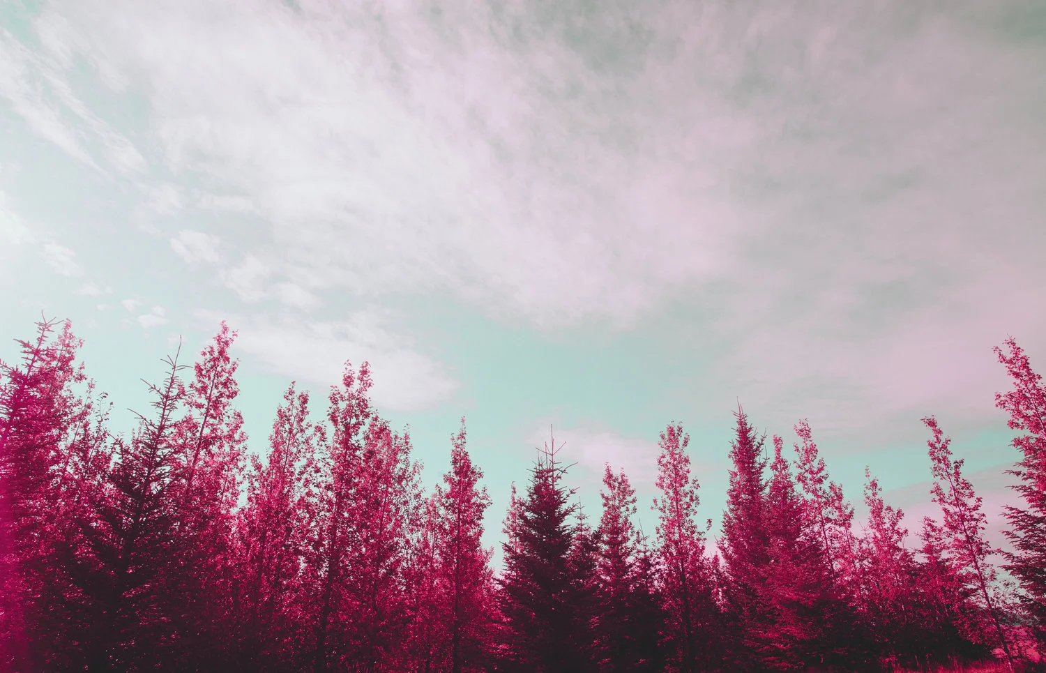 ADO_0021-1.jpg