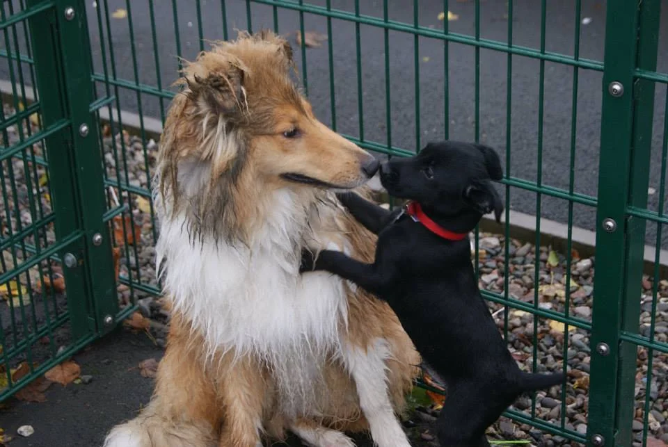 marty and milo 6th nov 2013.jpg