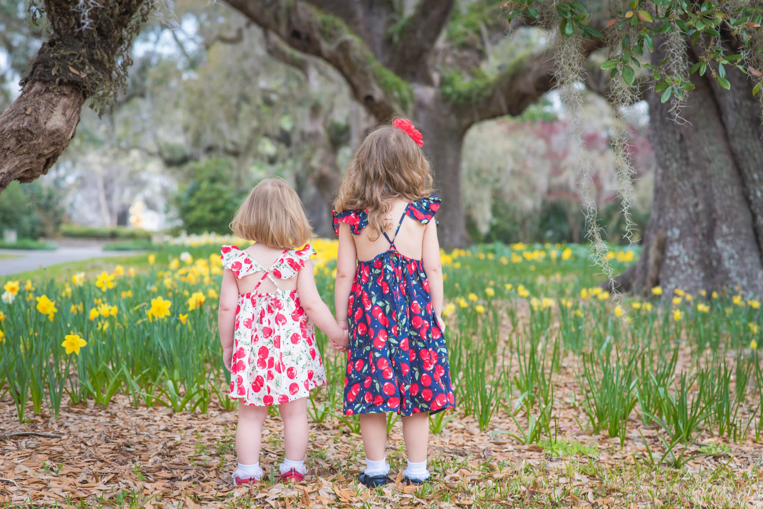 More sugar than a bowl full of cherries | Murrells Inlet, SC