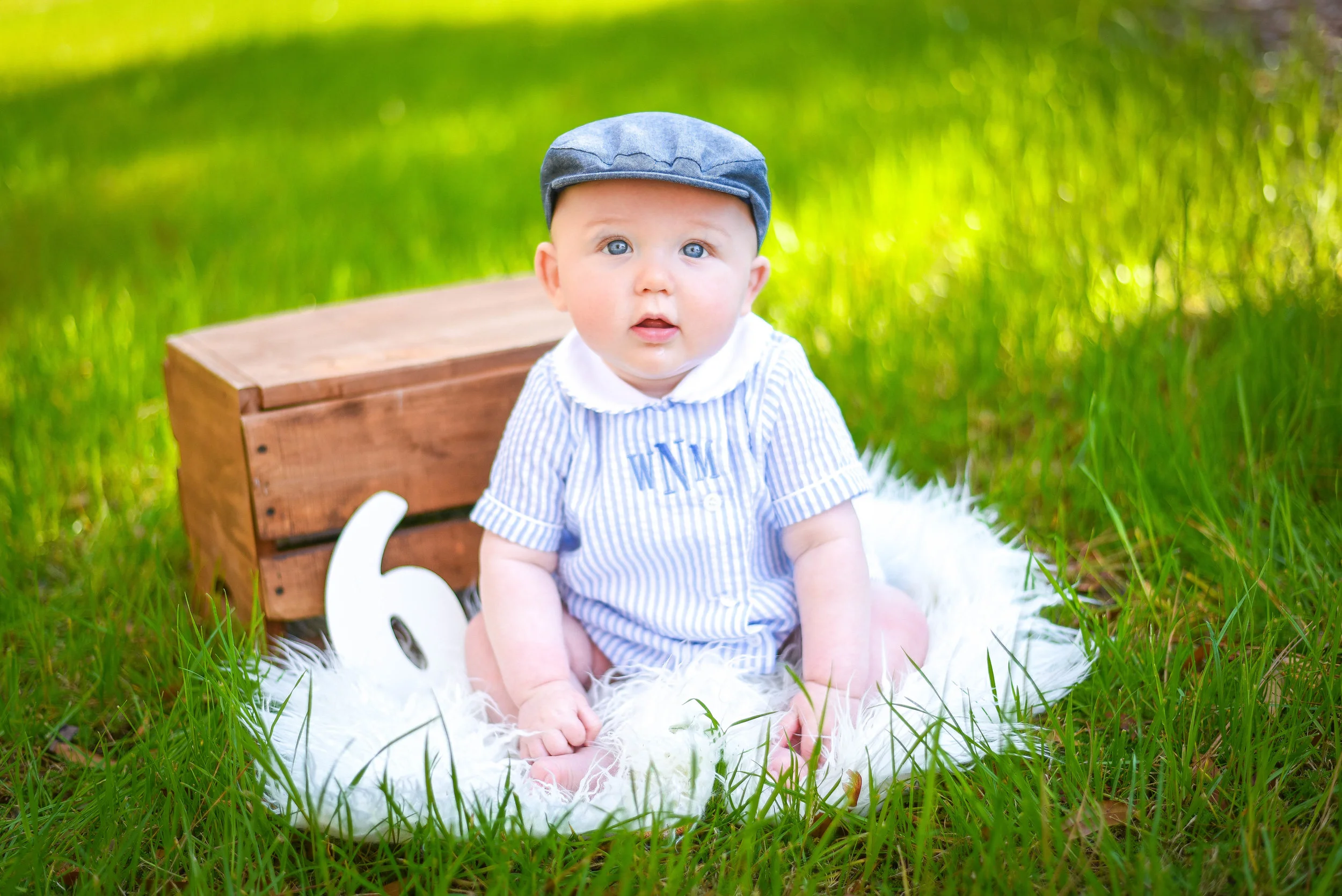 This sweet boy is 6 months old! | Murrells Inlet, SC