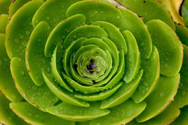 CI/CD, Jenkins, Containers, and Microservices | A Hands On Primer | Part II