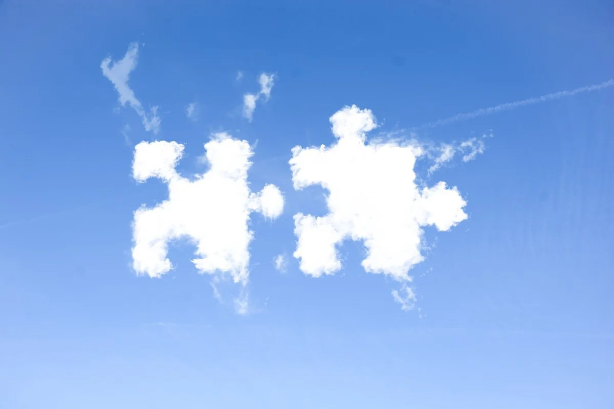 Please Send Me The Right Consultant This Time