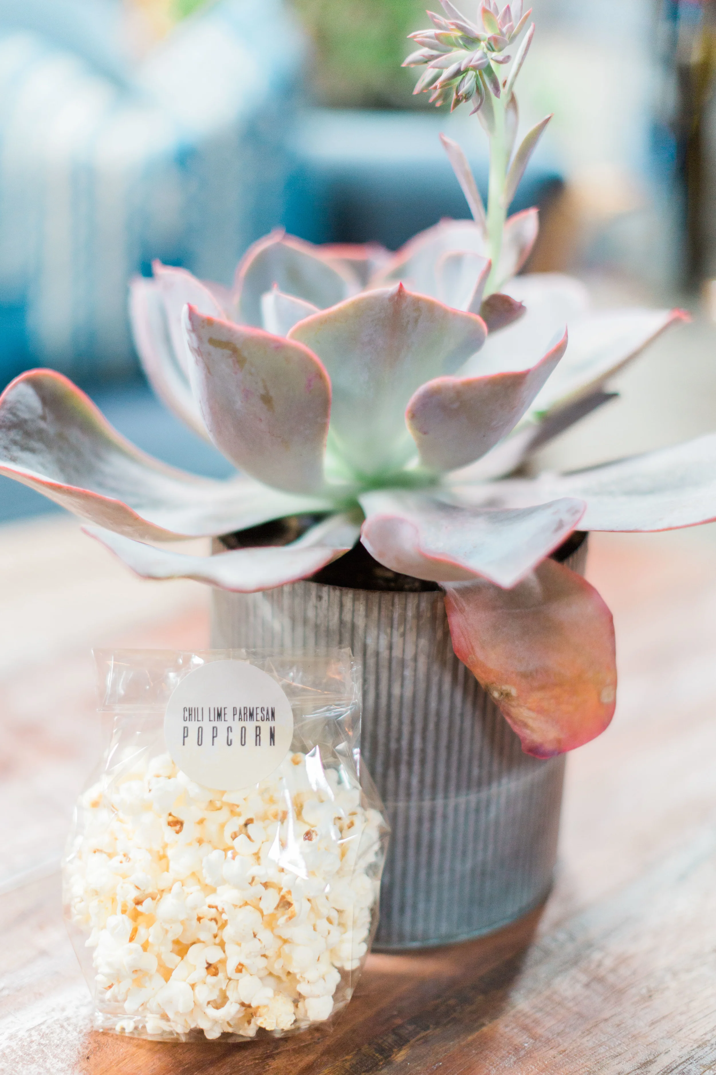 UMG Chili Lime Popcorn and succulent.jpg