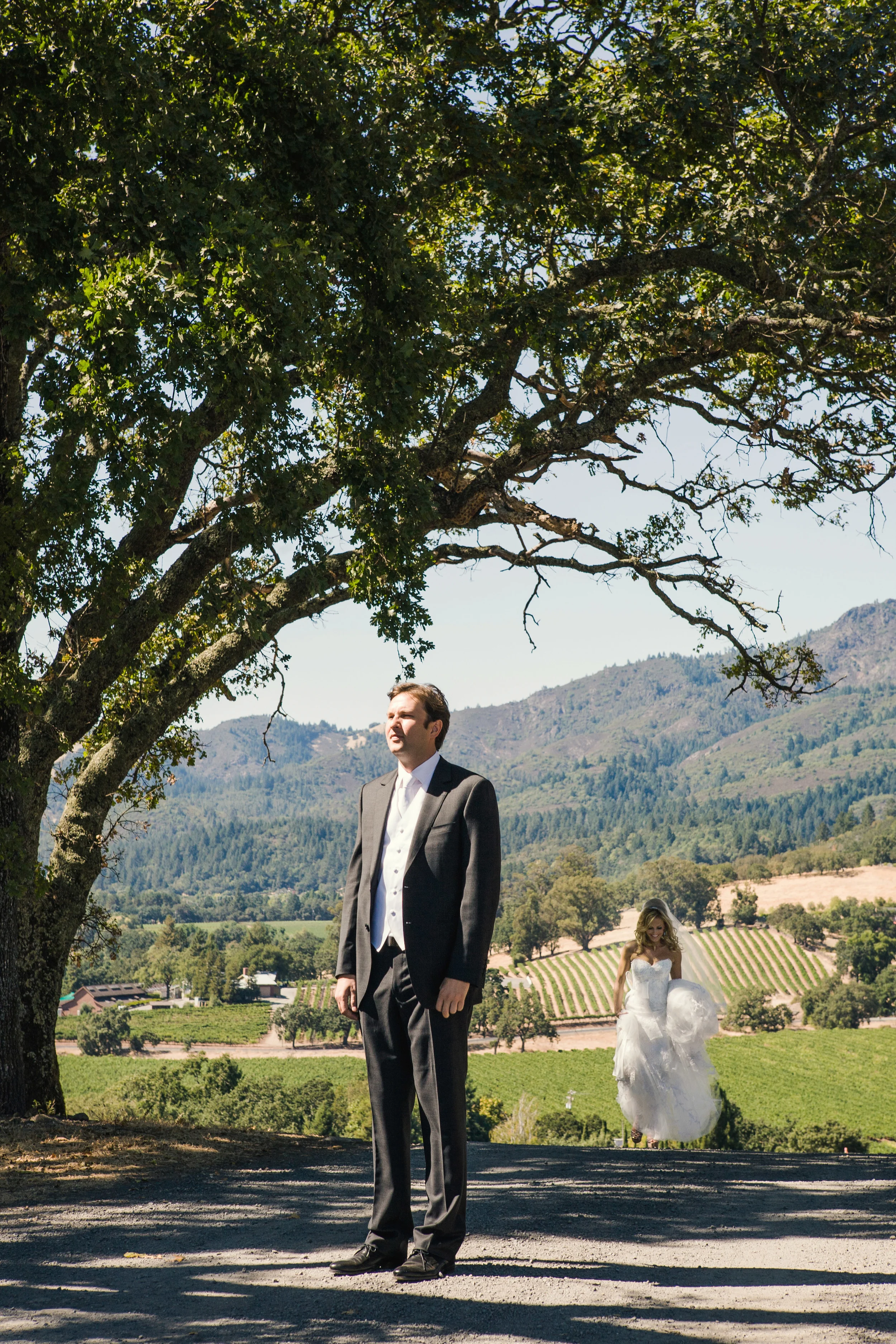 N First Look Sonoma Wedding Vineyards.jpg