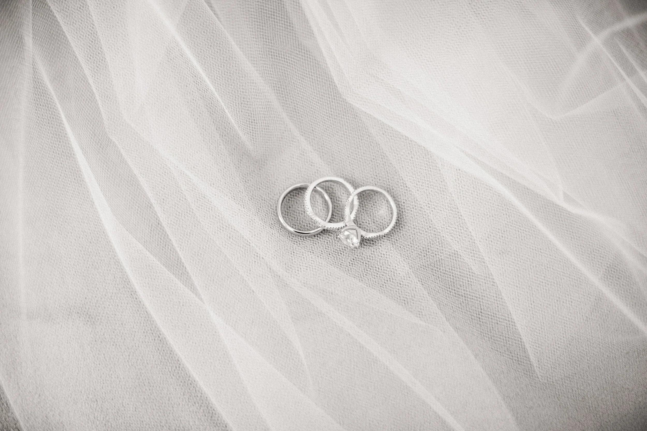 3. Rings.jpg