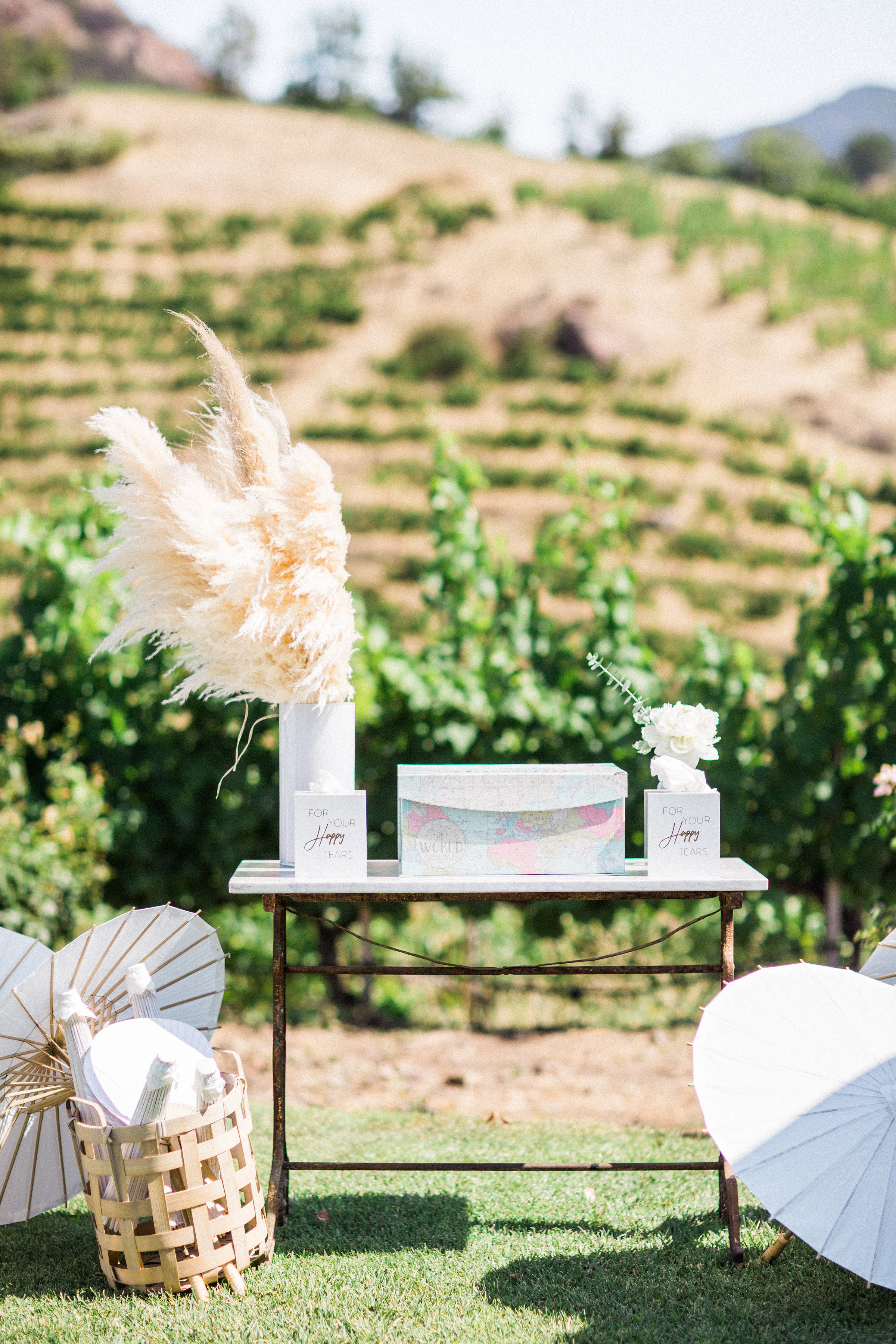 17. Ceremony Gift Table.jpg