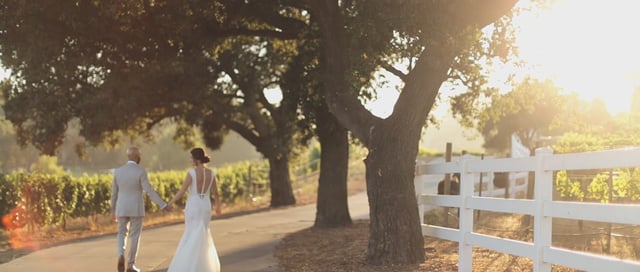 Lisa & Adil - Highlight