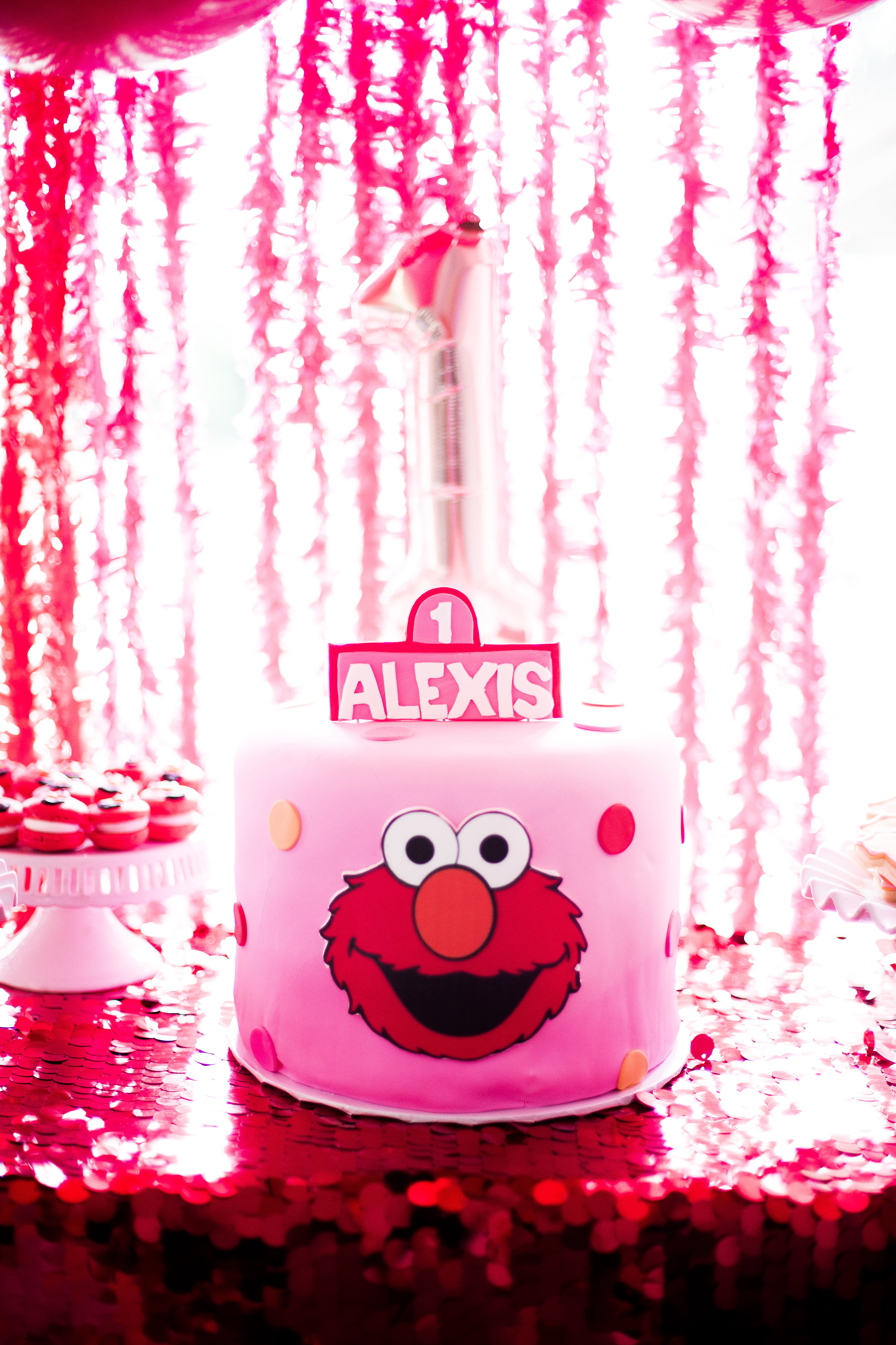 Alexis'_1st_Birthday_04.07.18_-2.jpg
