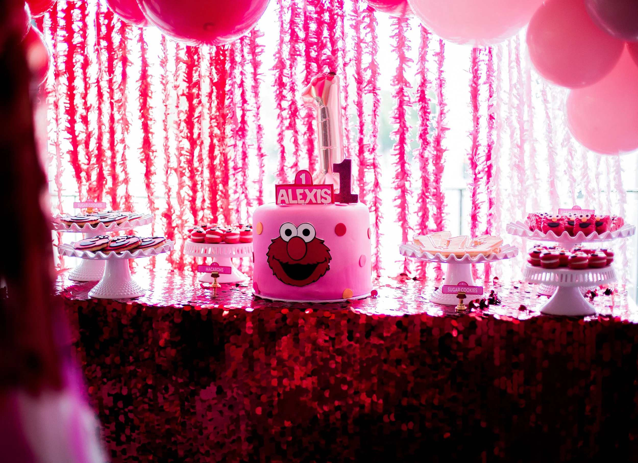 Alexis'_1st_Birthday_04.07.18_-146.jpg