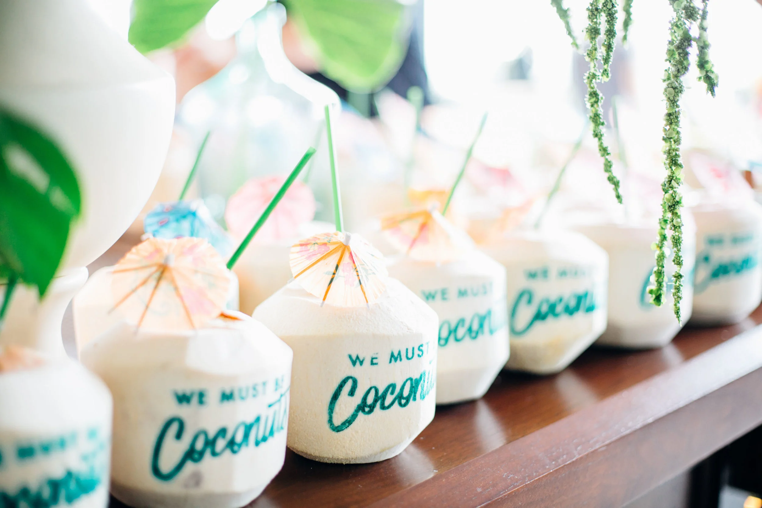 bright cocounuts.jpg