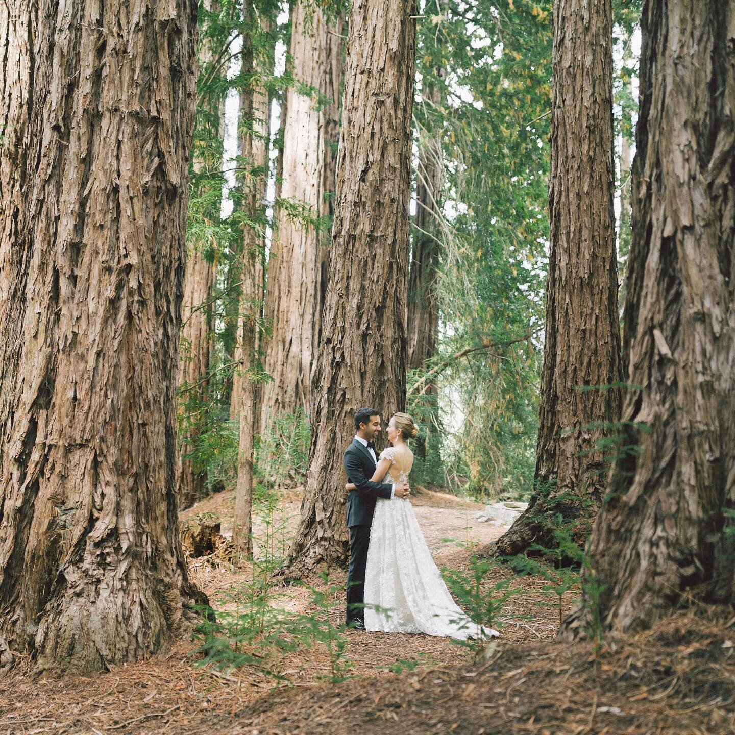 The most epic backdrop for any wedding. This couple loved the natural beauty of the Redwoods and wanted say &ldquo;I do&rdquo; surrounded by Mother Earth. Swipe to see nature at its best.

Photographer | @kelseaholderphoto 

#wedding #weddinginspo #w