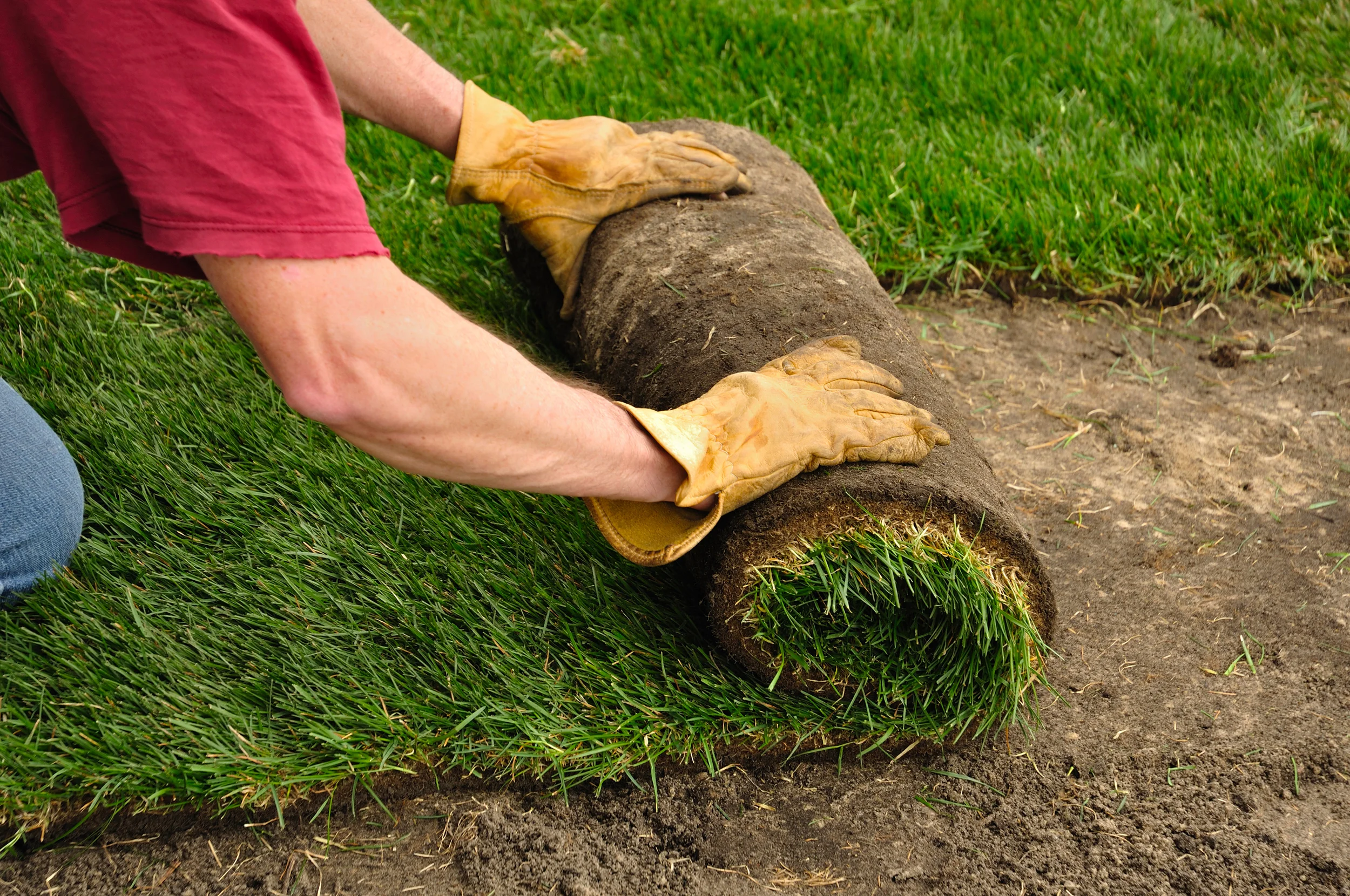 grass roll.jpg