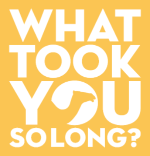 WTYSL Logo 2016.png