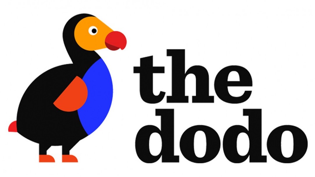 theDodoHeader.jpg