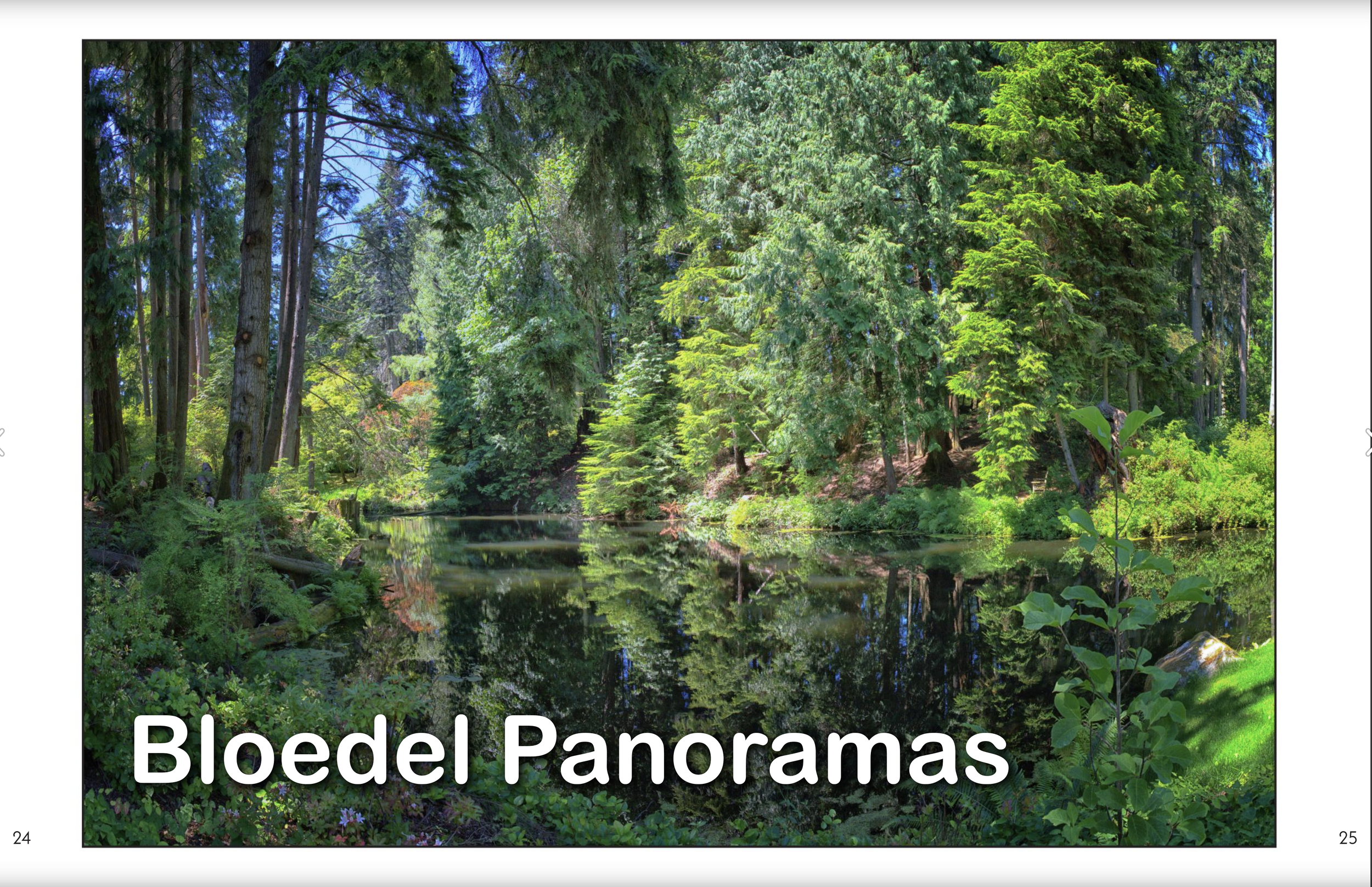 Bloedel_Panoramas_spread_title.png