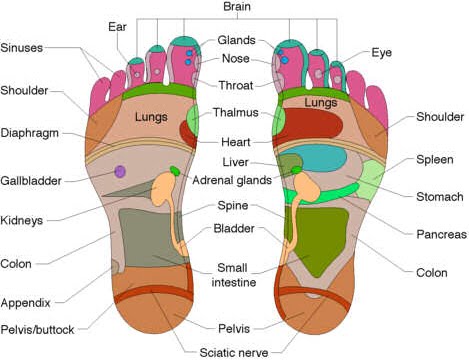 Reflexology Lymphatic System Chart