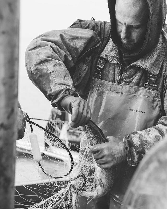 A few weeks ago I had the privilege of going out on a (tiny) fishing boat on Lake Superior to capture the fisherman of Grand Marais doing their thing. As specific and strange as it may sound, I have had the dream of documenting a day in the life of a