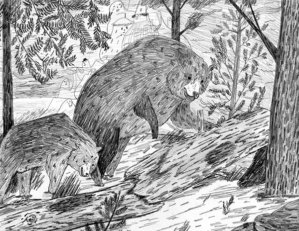 Illustrations of the Los Angeles National History Museum for a zine (2013)