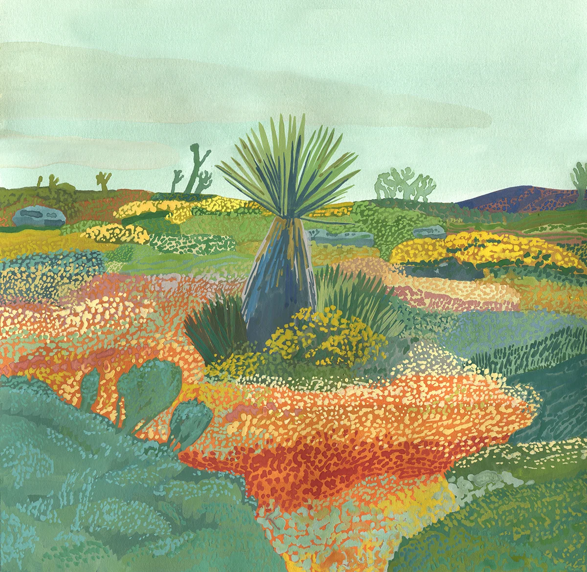 Little Yucca , Gouache on paper, 2019, 11.5x11.5 in