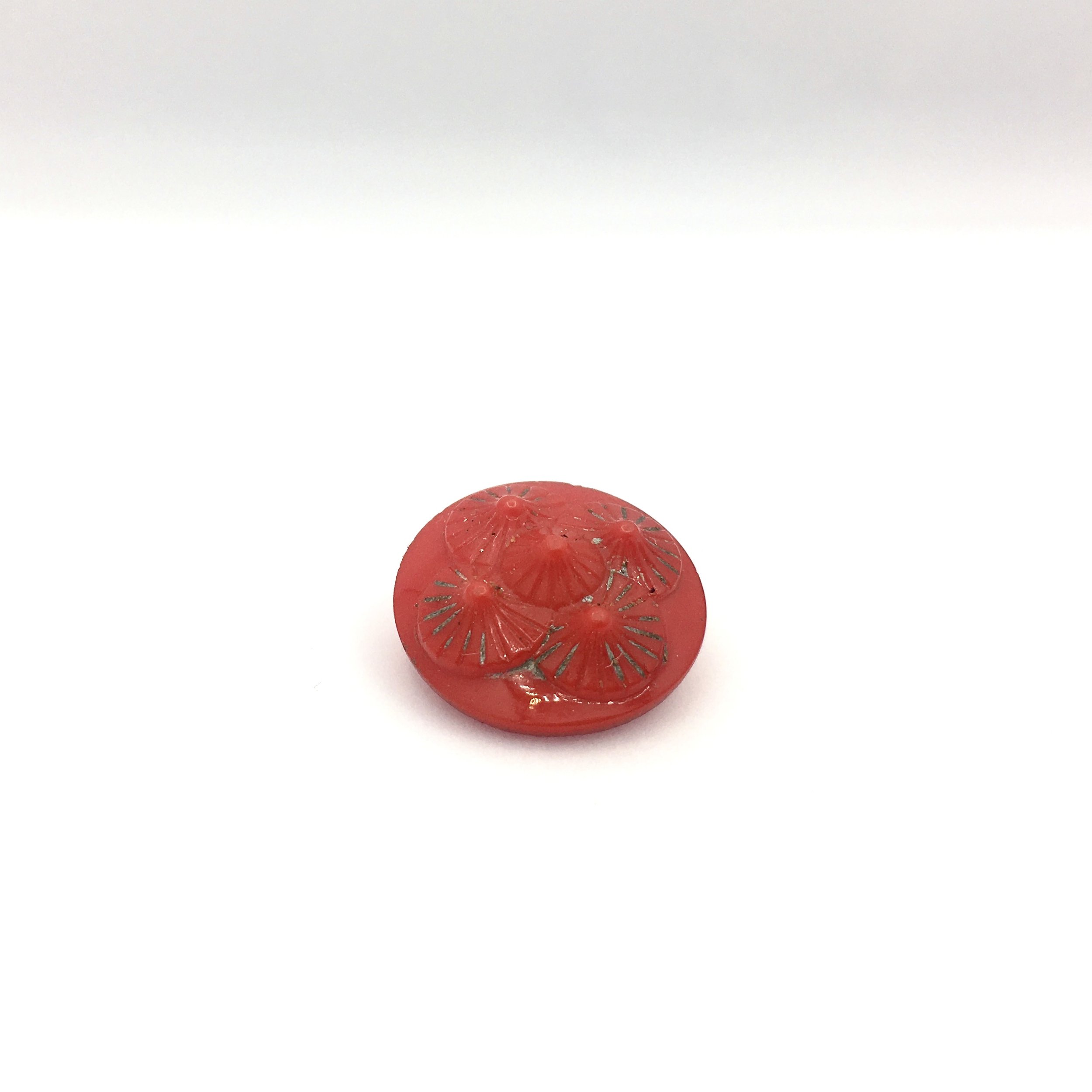 IMG_2314.jpeg