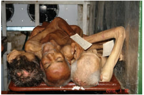 Three of 26 patients who died of exposure in 2010 in Cuba